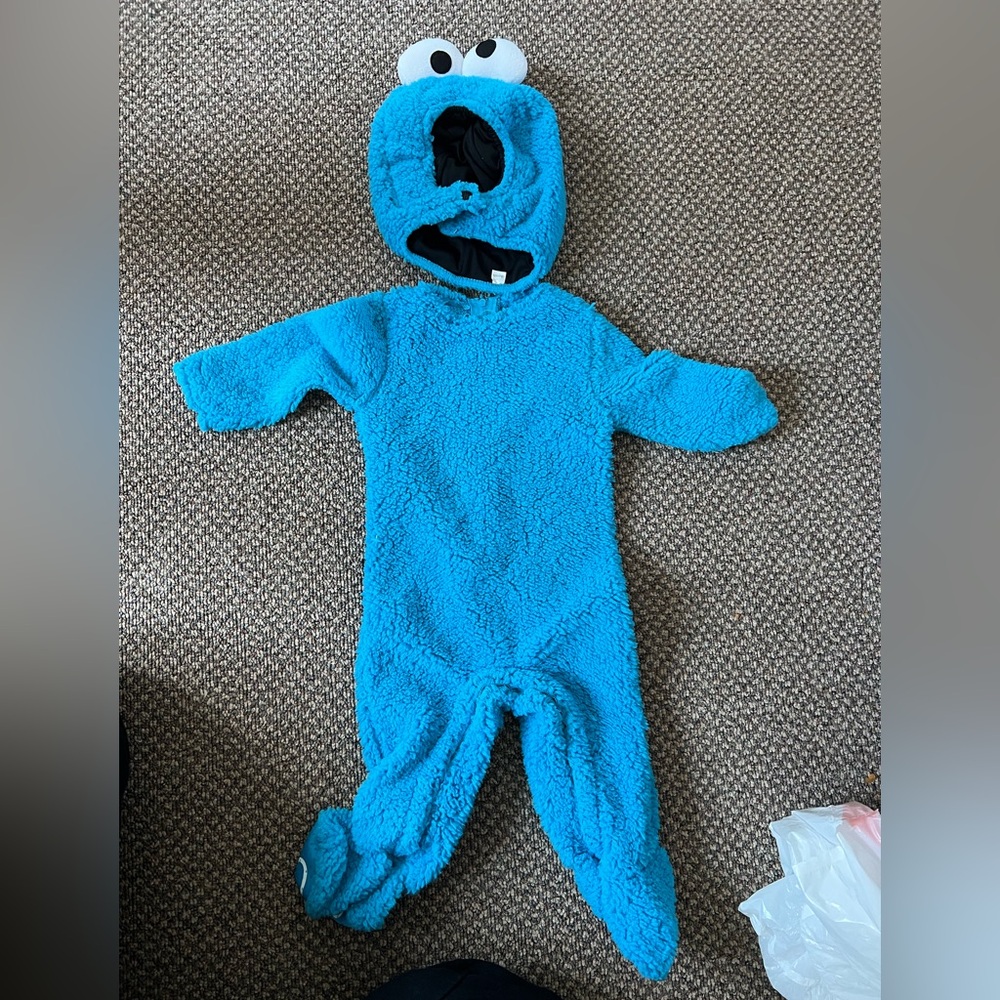 Baby Cookie Monster Costume